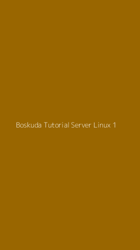 Tampilan Antarmuka Aplikasi Boskuda Tutorial Server Linux - 1