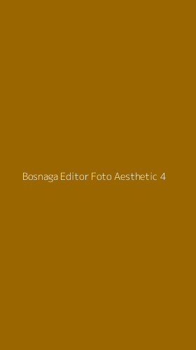 Tampilan Antarmuka Aplikasi Bosnaga Editor Foto Aesthetic - 4
