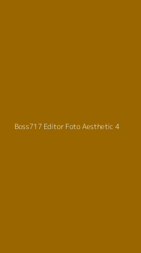 Tampilan Antarmuka Aplikasi Boss717 Editor Foto Aesthetic - 4