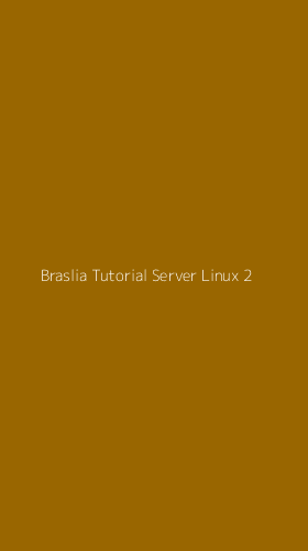 Tampilan Antarmuka Aplikasi Braslia Tutorial Server Linux - 2