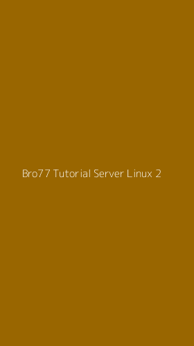 Tampilan Antarmuka Aplikasi Bro77 Tutorial Server Linux - 2