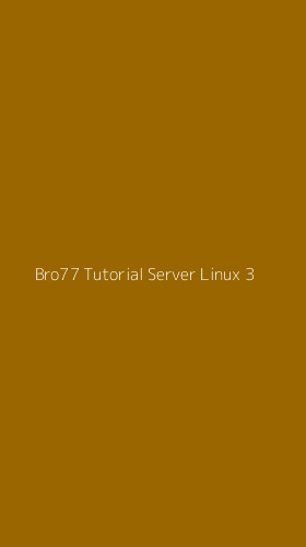 Tampilan Antarmuka Aplikasi Bro77 Tutorial Server Linux - 3