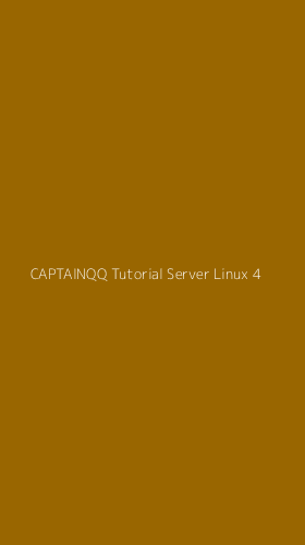 Tampilan Antarmuka Aplikasi Captainqq Tutorial Server Linux - 4