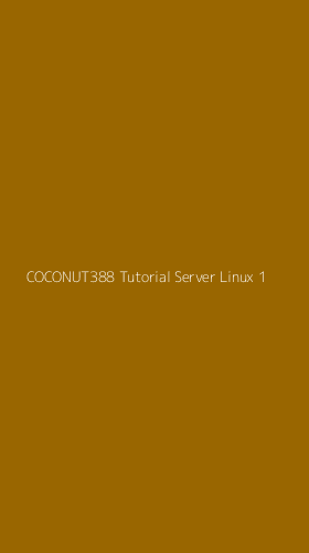 Tampilan Antarmuka Aplikasi Coconut388 Tutorial Server Linux - 1