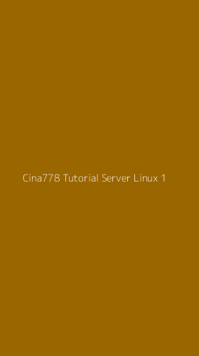 Tampilan Antarmuka Aplikasi Cina778 Tutorial Server Linux - 1