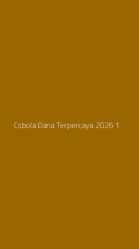 Tampilan Antarmuka Aplikasi Csbola Dana Terpercaya 2026 - 1