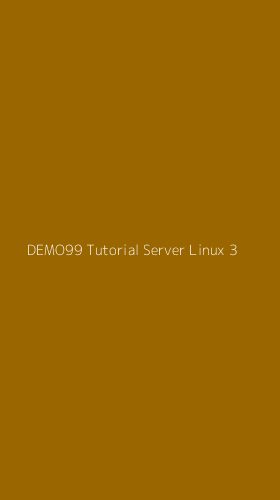 Tampilan Antarmuka Aplikasi Demo99 Tutorial Server Linux - 3