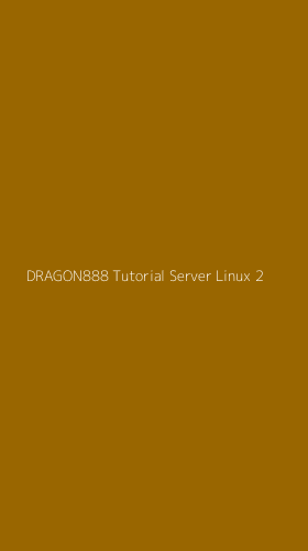 Tampilan Antarmuka Aplikasi Dragon888 Tutorial Server Linux - 2