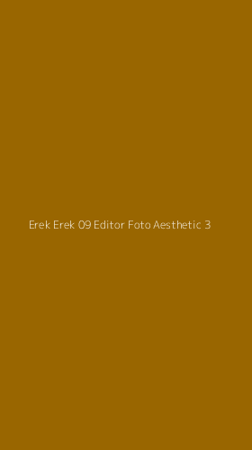 Tampilan Antarmuka Aplikasi Erek Erek 09 Editor Foto Aesthetic - 3
