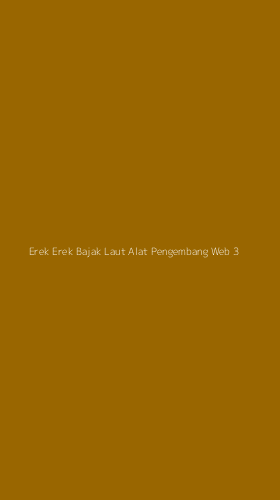 Tampilan Antarmuka Aplikasi Erek Erek Bajak Laut Alat Pengembang Web - 3