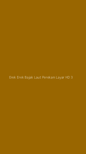 Tampilan Antarmuka Aplikasi Erek Erek Bajak Laut Perekam Layar Hd - 3
