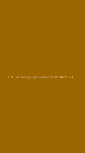Tampilan Antarmuka Aplikasi Erek Erek Burung Gagak Pembersih Ram Otomatis - 4