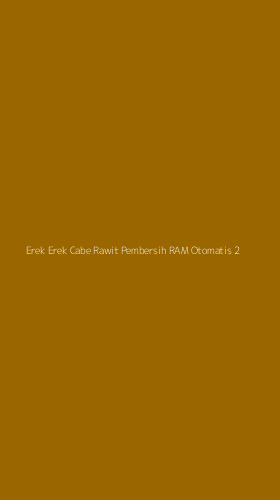 Tampilan Antarmuka Aplikasi Erek Erek Cabe Rawit Pembersih Ram Otomatis - 2