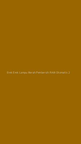 Tampilan Antarmuka Aplikasi Erek Erek Lampu Merah Pembersih Ram Otomatis - 2