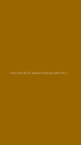 Tampilan Antarmuka Aplikasi Erek Erek No 25 Aplikasi Editing Video Pro - 2