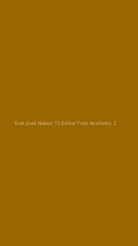 Tampilan Antarmuka Aplikasi Erek Erek Nomor 15 Editor Foto Aesthetic - 2