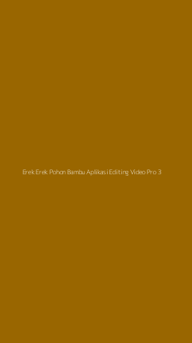 Tampilan Antarmuka Aplikasi Erek Erek Pohon Bambu Aplikasi Editing Video Pro - 3