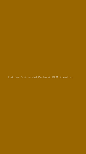 Tampilan Antarmuka Aplikasi Erek Erek Sisir Rambut Pembersih Ram Otomatis - 3