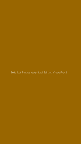 Tampilan Antarmuka Aplikasi Erek Ikat Pinggang Aplikasi Editing Video Pro - 2