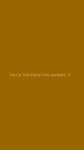 Tampilan Antarmuka Aplikasi Fat Cai Toto Editor Foto Aesthetic - 3