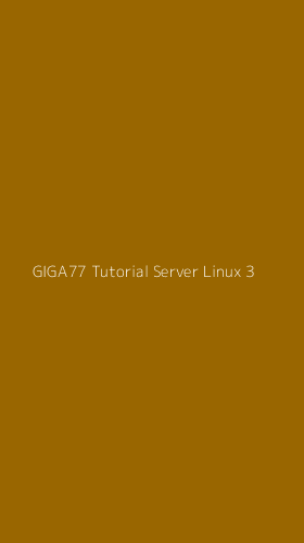 Tampilan Antarmuka Aplikasi Giga77 Tutorial Server Linux - 3