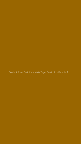 Tampilan Antarmuka Aplikasi Gembok Erek Erek Cara Main Togel Colok Jitu Pemula - 1