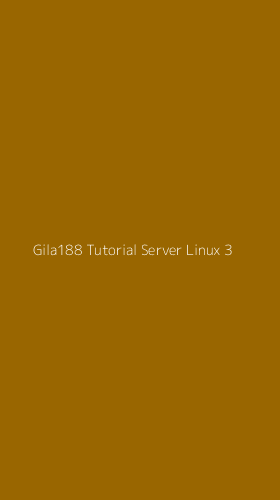 Tampilan Antarmuka Aplikasi Gila188 Tutorial Server Linux - 3