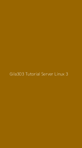 Tampilan Antarmuka Aplikasi Gila303 Tutorial Server Linux - 3