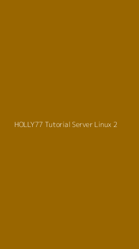 Tampilan Antarmuka Aplikasi Holly77 Tutorial Server Linux - 2