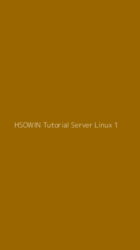 Tampilan Antarmuka Aplikasi Hsowin Tutorial Server Linux - 1