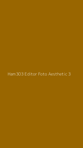 Tampilan Antarmuka Aplikasi Ham303 Editor Foto Aesthetic - 3