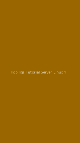 Tampilan Antarmuka Aplikasi Hobiliga Tutorial Server Linux - 1