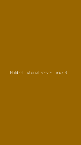 Tampilan Antarmuka Aplikasi Holibet Tutorial Server Linux - 3