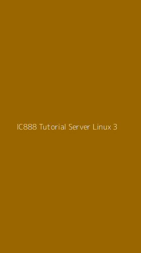 Tampilan Antarmuka Aplikasi Ic888 Tutorial Server Linux - 3