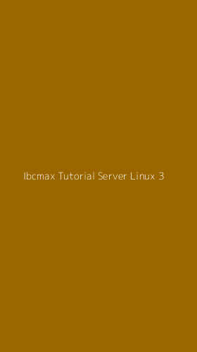 Tampilan Antarmuka Aplikasi Ibcmax Tutorial Server Linux - 3