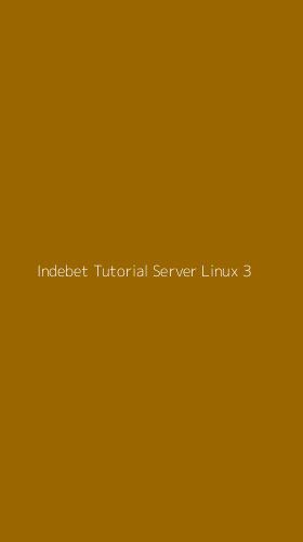 Tampilan Antarmuka Aplikasi Indebet Tutorial Server Linux - 3