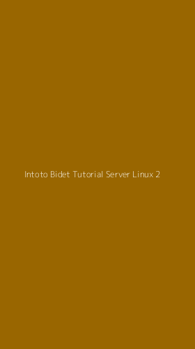 Tampilan Antarmuka Aplikasi Intoto Bidet Tutorial Server Linux - 2