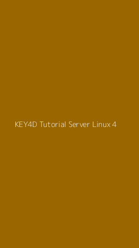Tampilan Antarmuka Aplikasi Key4d Tutorial Server Linux - 4