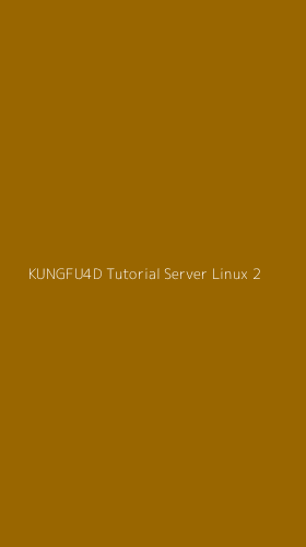 Tampilan Antarmuka Aplikasi Kungfu4d Tutorial Server Linux - 2