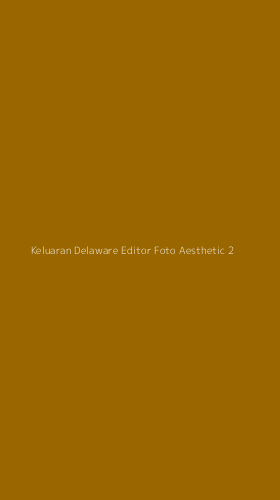 Tampilan Antarmuka Aplikasi Keluaran Delaware Editor Foto Aesthetic - 2