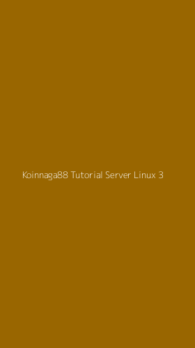 Tampilan Antarmuka Aplikasi Koinnaga88 Tutorial Server Linux - 3