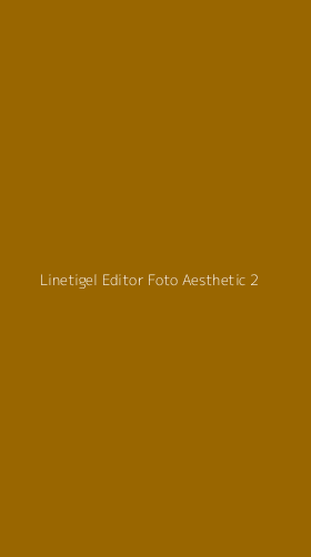 Tampilan Antarmuka Aplikasi Linetigel Editor Foto Aesthetic - 2