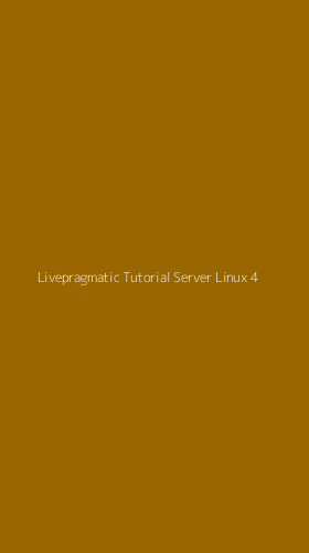 Tampilan Antarmuka Aplikasi Livepragmatic Tutorial Server Linux - 4