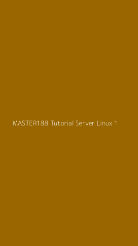 Tampilan Antarmuka Aplikasi Master188 Tutorial Server Linux - 1