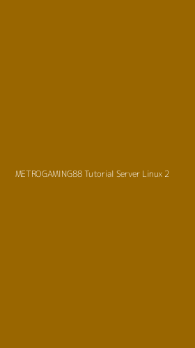 Tampilan Antarmuka Aplikasi Metrogaming88 Tutorial Server Linux - 2