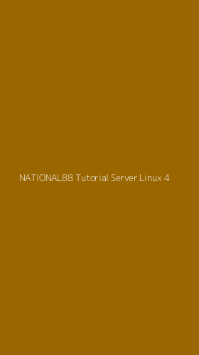 Tampilan Antarmuka Aplikasi National88 Tutorial Server Linux - 4