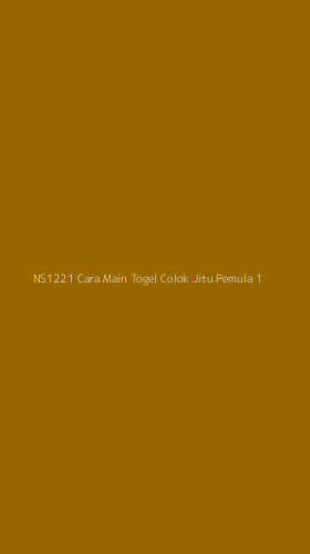 Tampilan Antarmuka Aplikasi Ns1221 Cara Main Togel Colok Jitu Pemula - 1