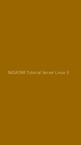 Tampilan Antarmuka Aplikasi Nusa188 Tutorial Server Linux - 3