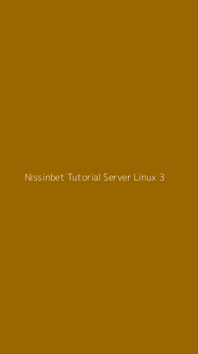 Tampilan Antarmuka Aplikasi Nissinbet Tutorial Server Linux - 3