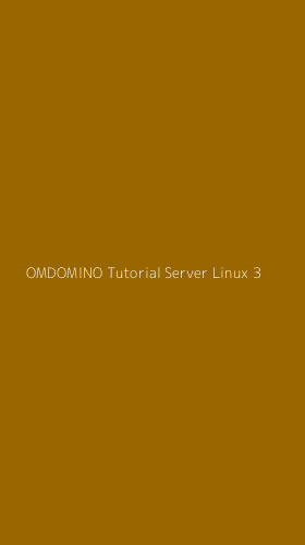 Tampilan Antarmuka Aplikasi Omdomino Tutorial Server Linux - 3
